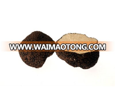 New crop dried black & white truffle, black truffles for sale tuber uncinatum black truffles